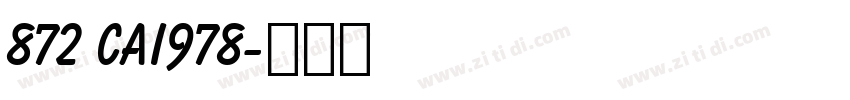 872 CAI978字体转换